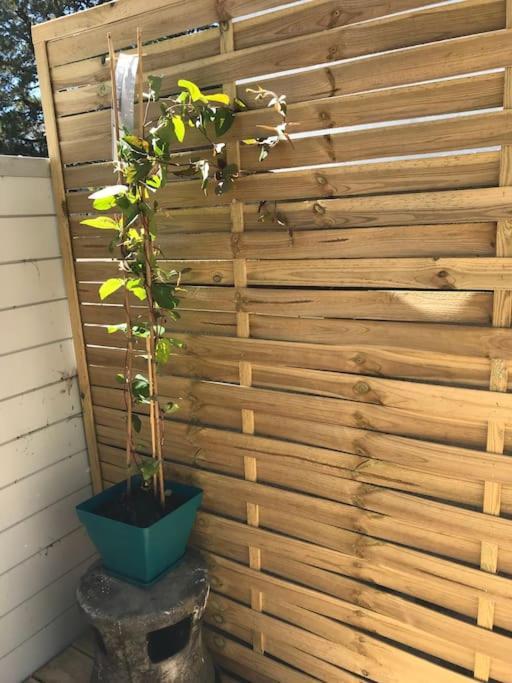 Terrasse Renove A Neuf *
